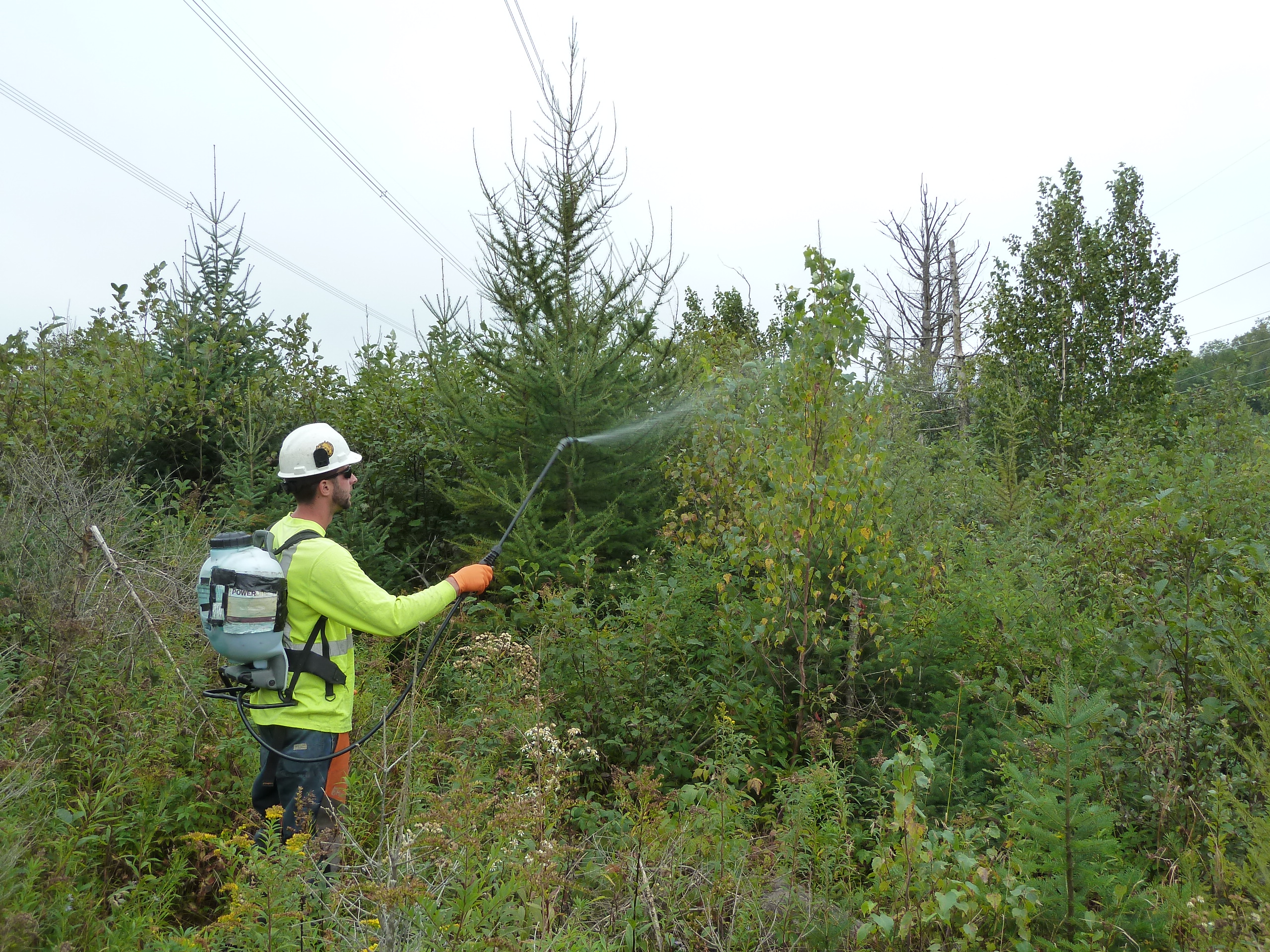 Low-volume Foliar